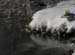 snow-jump13-2